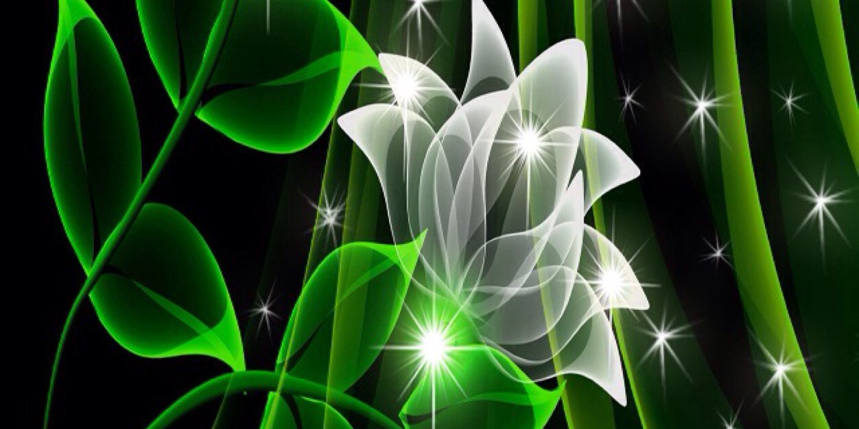 GraceRayhart's profile banner image