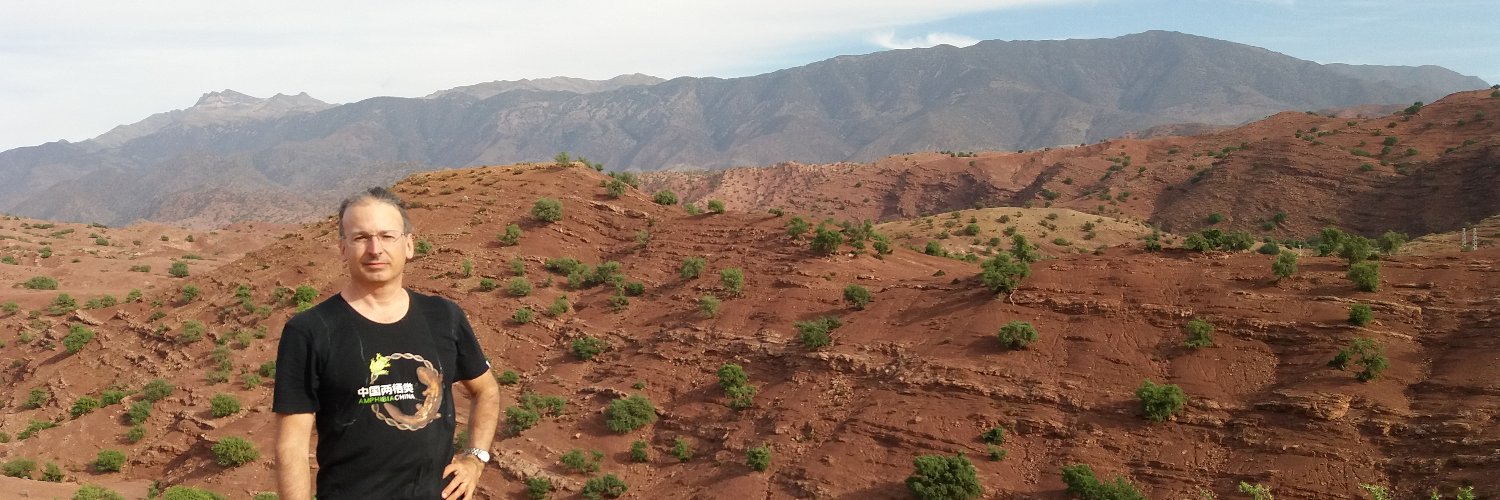 Michel Laurin banner