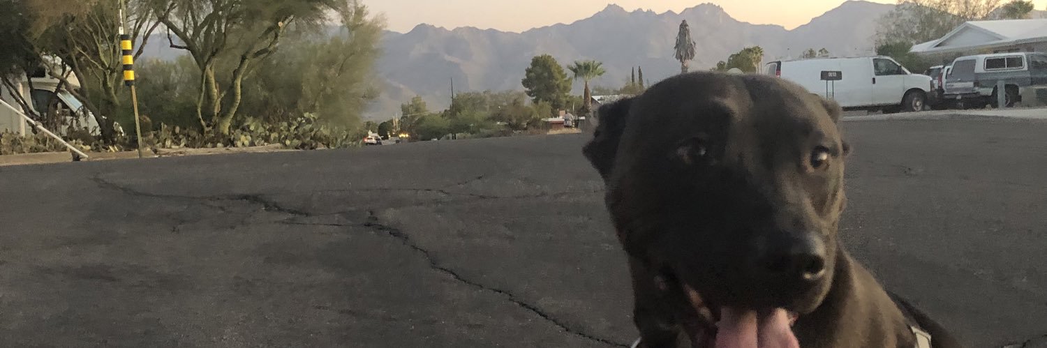 hamburkerr's profile banner image