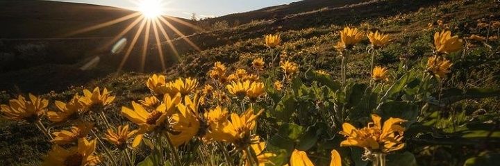 Intannovi_'s profile banner image