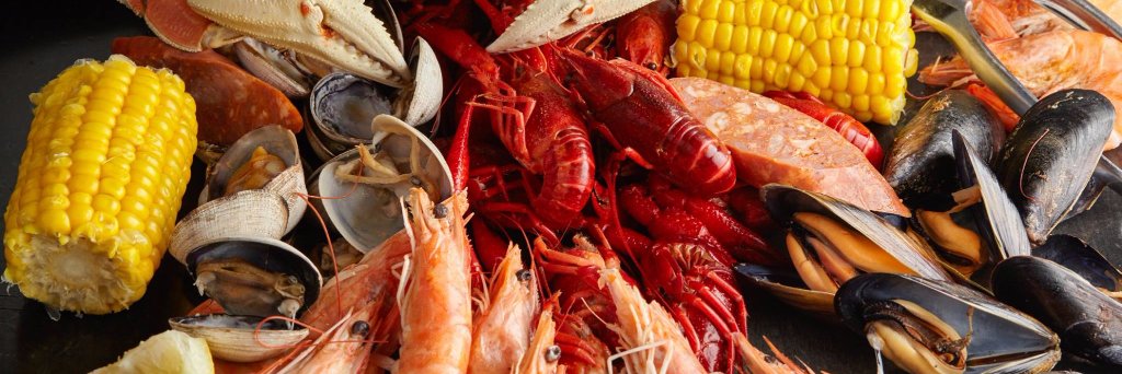 The Backyard Bayou banner