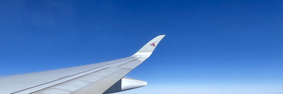 Antoine Boustany, MD, MPH, MEM banner