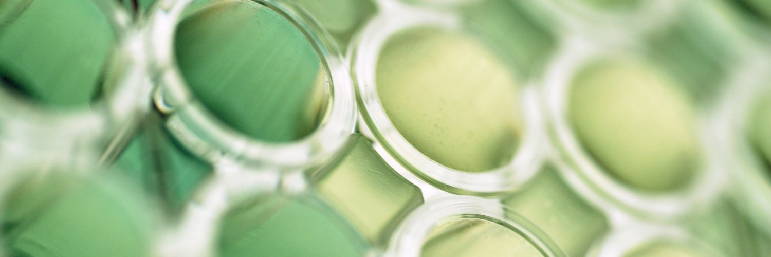 BioInspireSensing banner