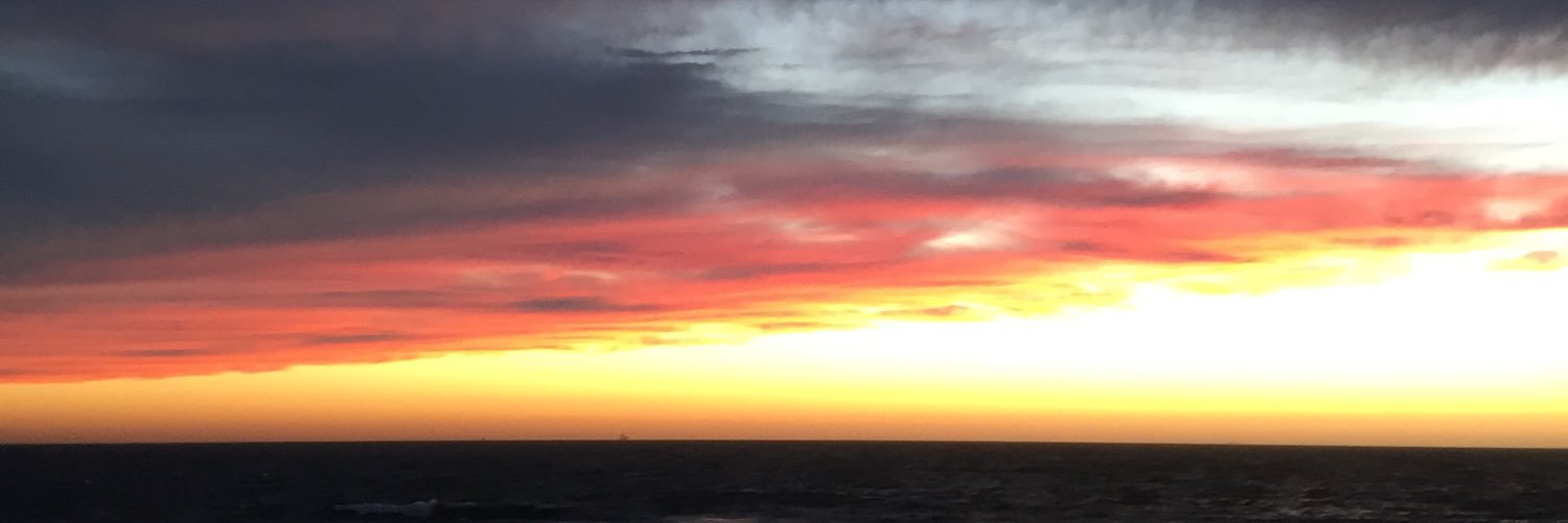 SWESFSU's profile banner image
