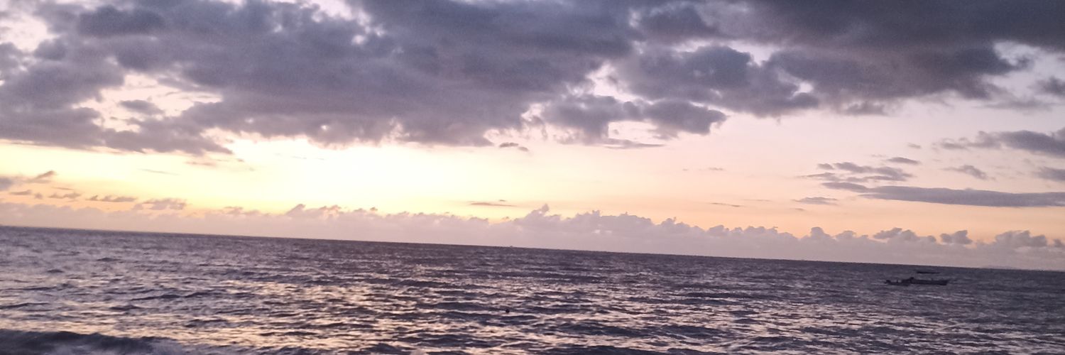 Mike Ponce/ Panda 🐼🏊🏻‍♂️ banner