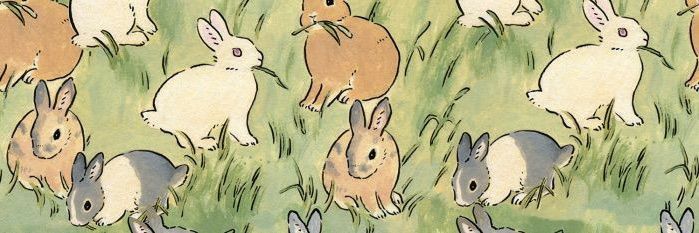 Miraixhaan's profile banner image