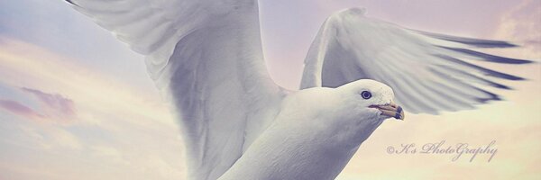 KayJantzi Profile Banner