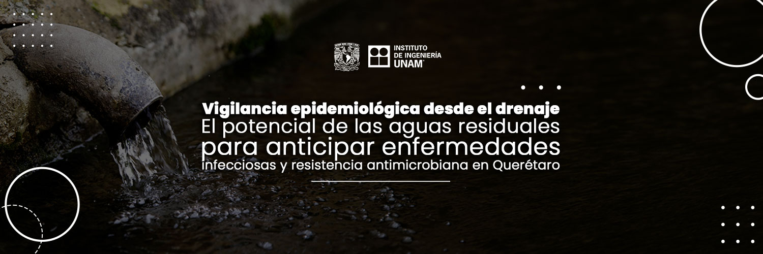 Instituto de Ingeniería banner