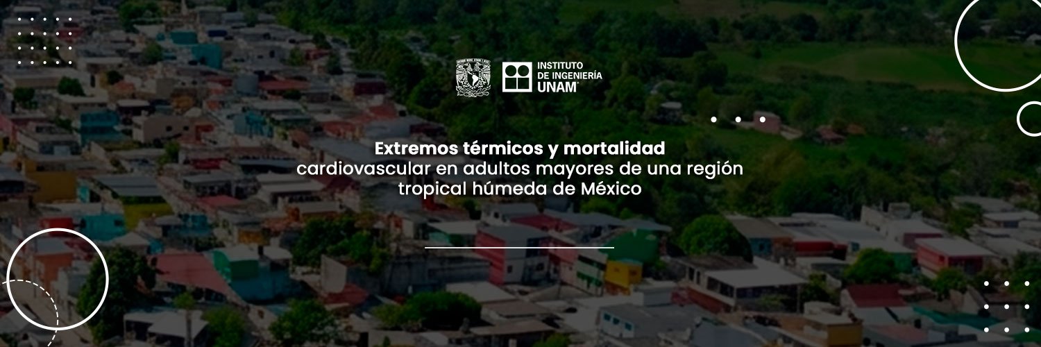 IIUNAM's profile banner image