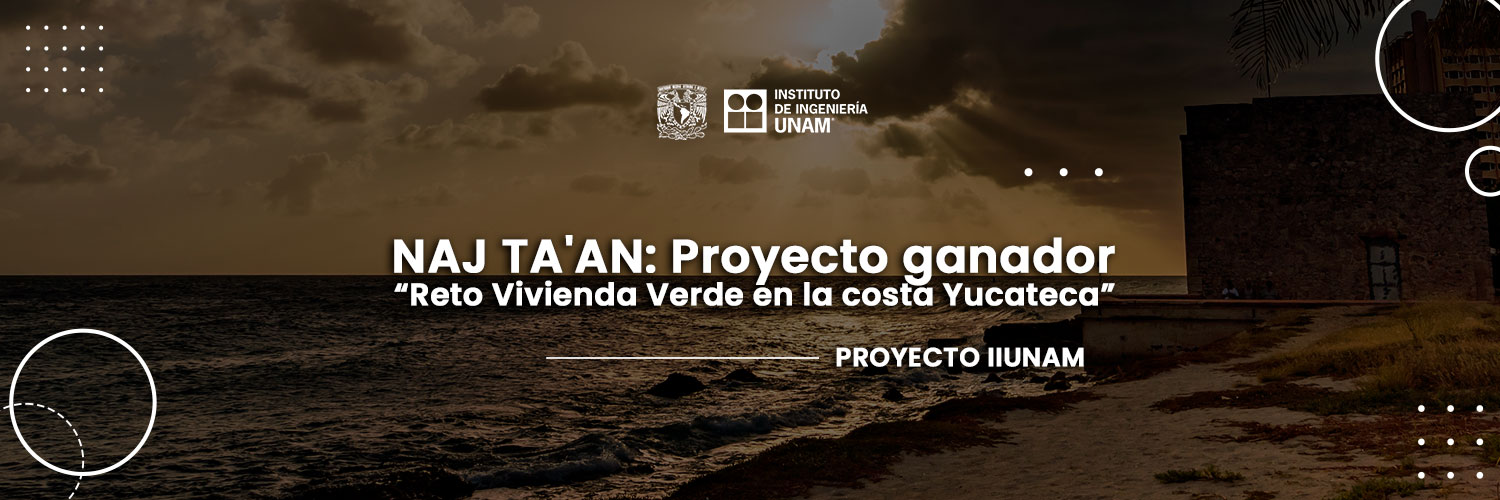 IIUNAM's profile banner image