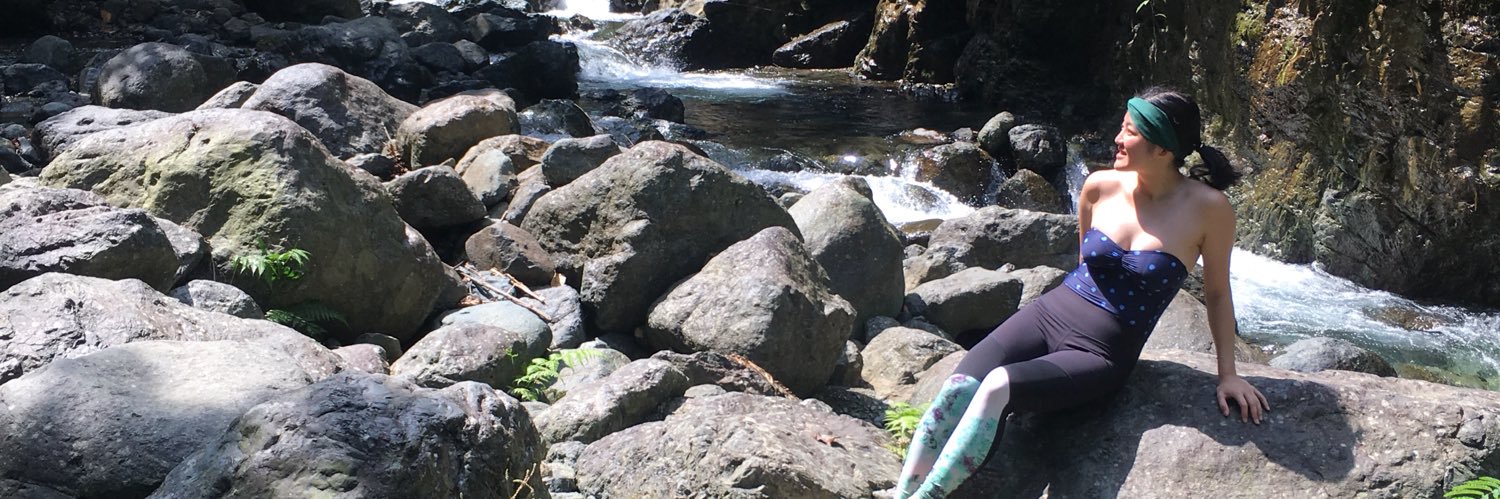 haLLAMAnz's profile banner image