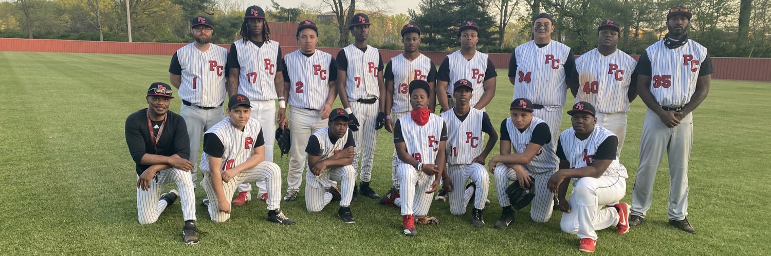 Pearl Cohn Baseball banner