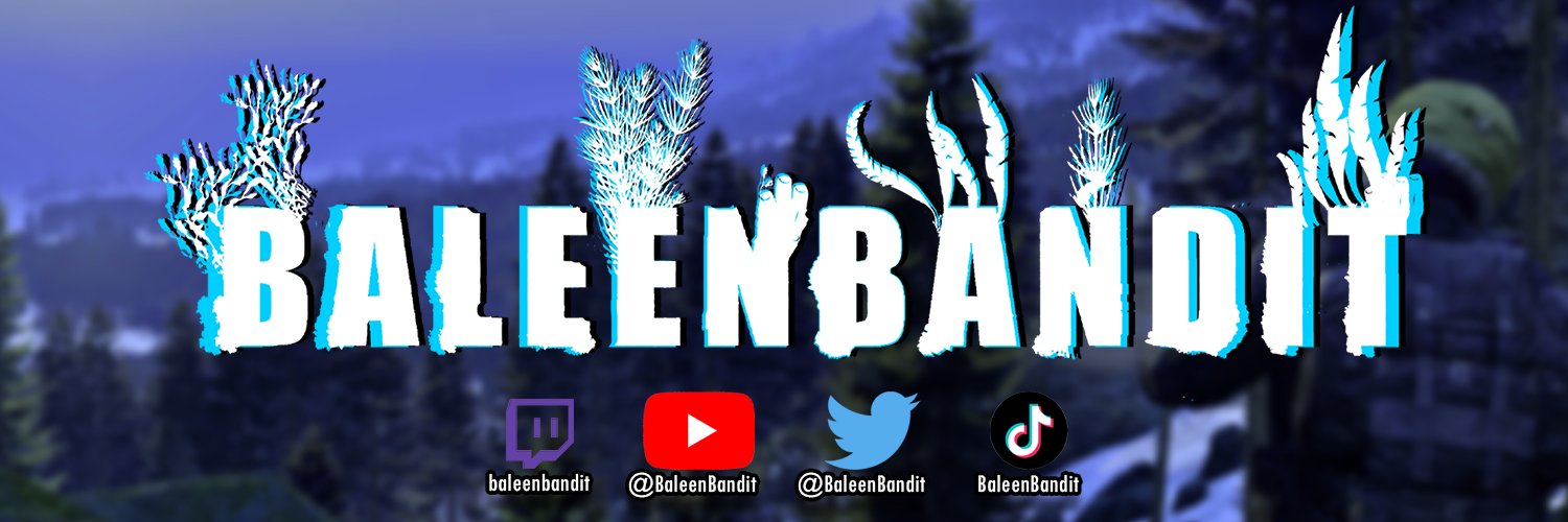 Baleen banner