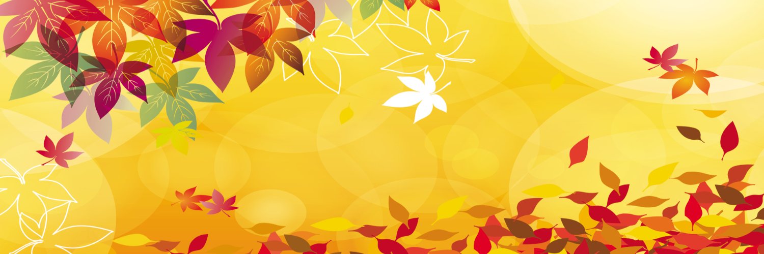 Hasnain | ETHGas ⛽ banner