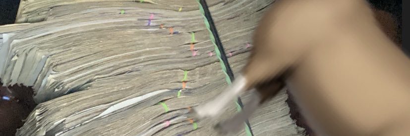 mulaalwayswin's profile banner image