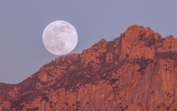Lobo_MaRa's profile banner image