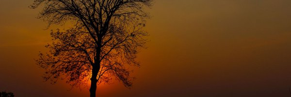 i_avinashjha Profile Banner