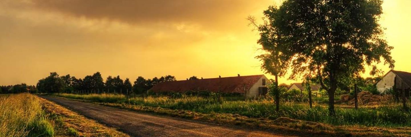 Stone_Arcano's profile banner image
