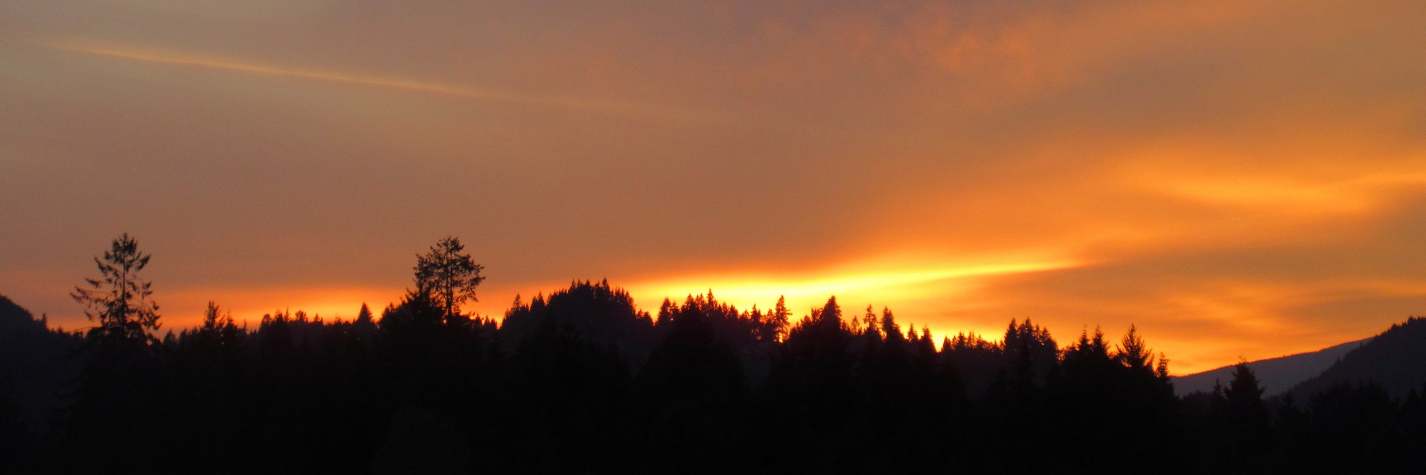 nancyrunswrites's profile banner image
