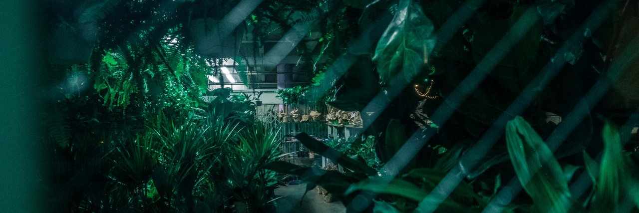 noe_kki's profile banner image