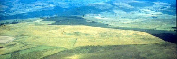 ainemlynch11 Profile Banner