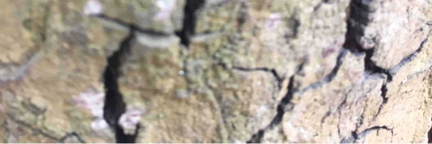 Phlames__'s profile banner image