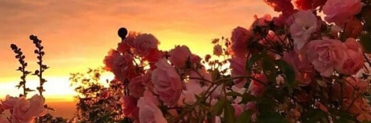 saint__elliot's profile banner image