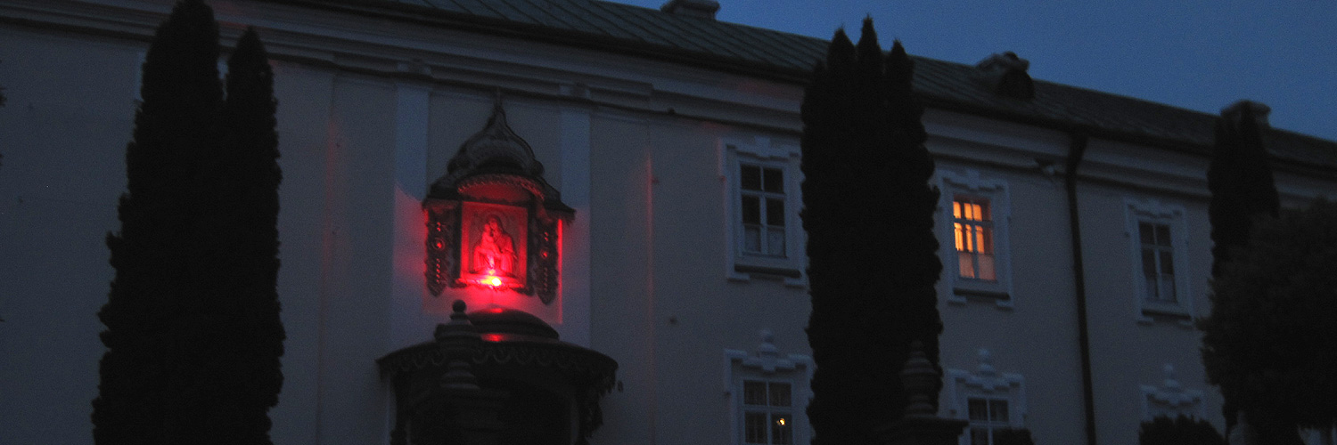 Aušros Vartai banner