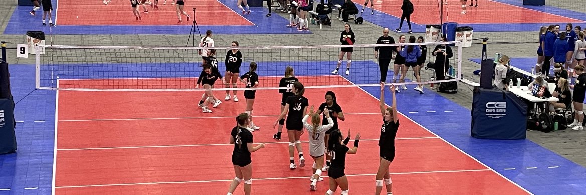 Maddie Wilson banner