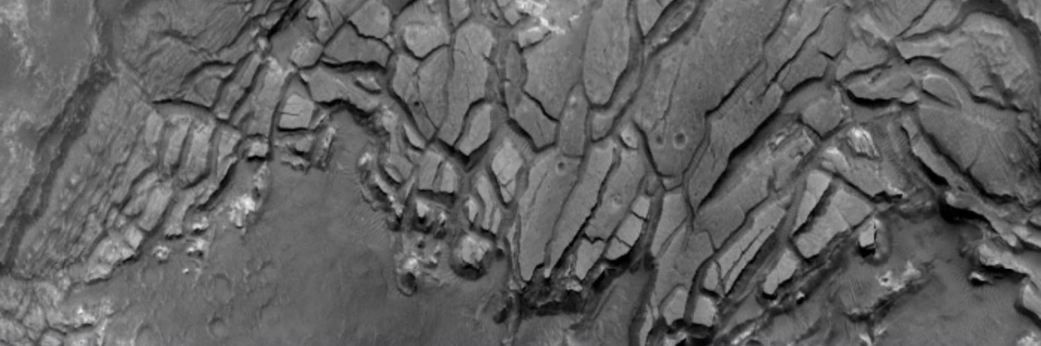 Sophie Silver banner