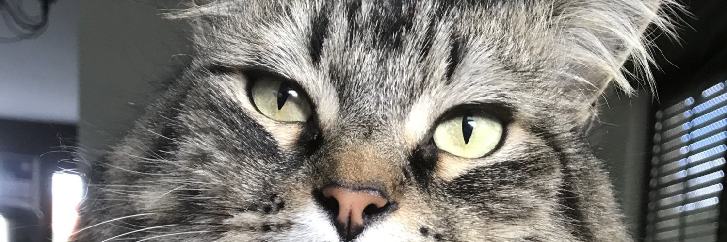 Frank Van de Velde banner