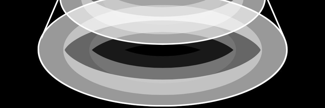 (29) banner