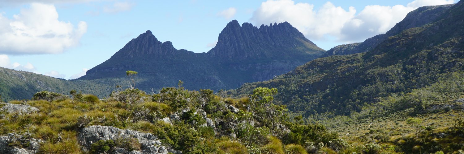Carlos R. Ramirez banner