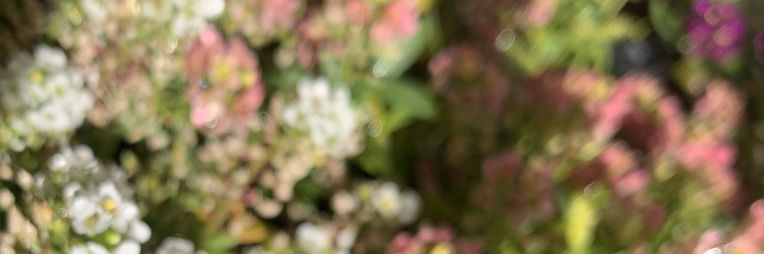 lv_bbke's profile banner image