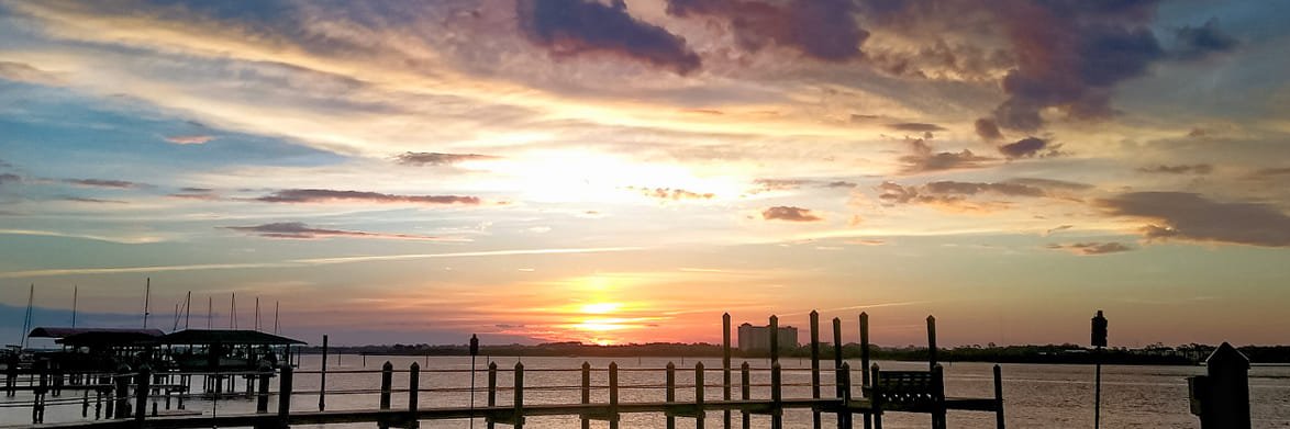 Mostly Peaceful 🧉🍊👍🐊🗑🐿 banner