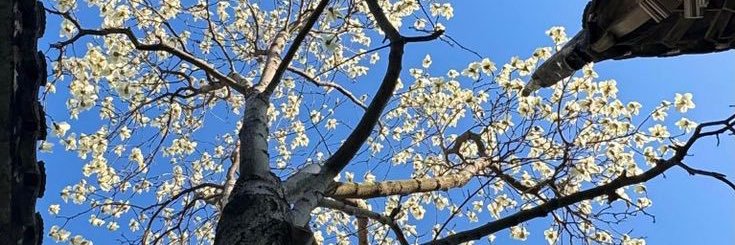 maadayGg's profile banner image