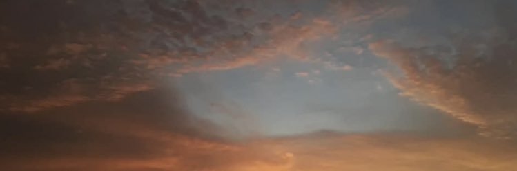 Johana R🐾🐢🌱 banner