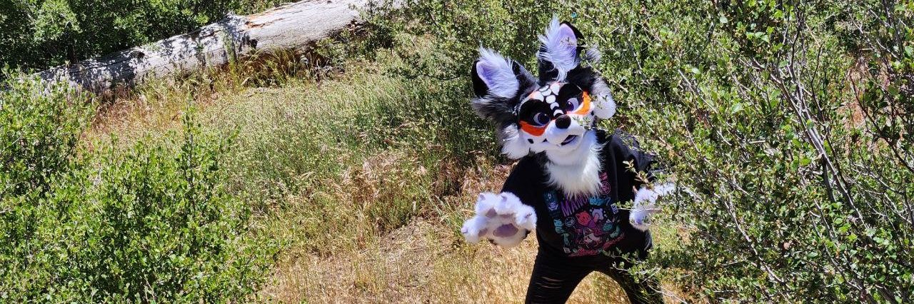 RegalBeansSuits's profile banner image