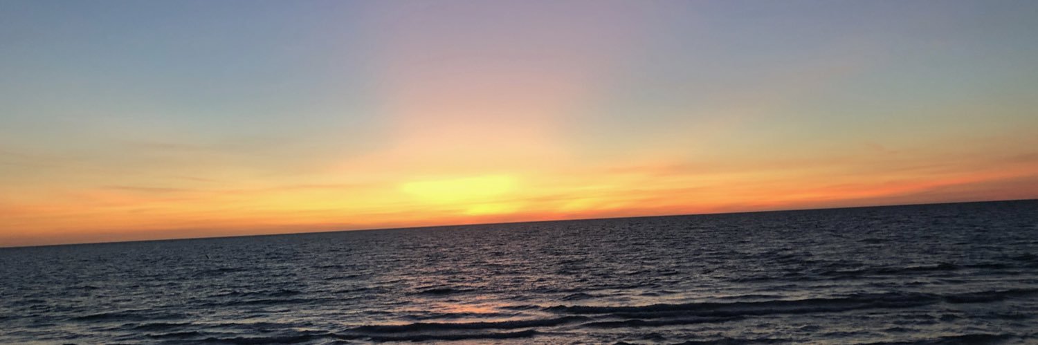 Dindy's profile banner image