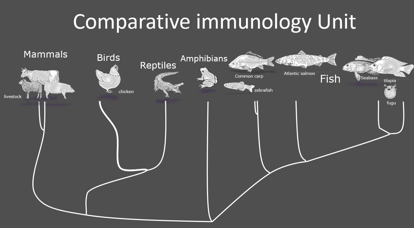 Maria Forlenza banner