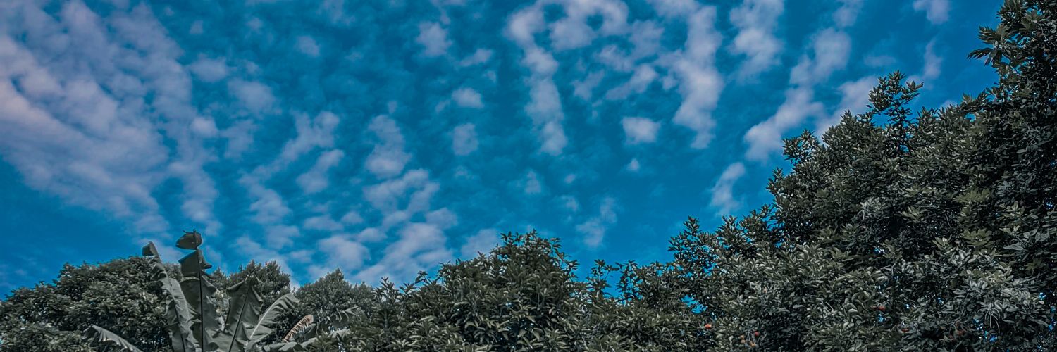 RioDypa's profile banner image