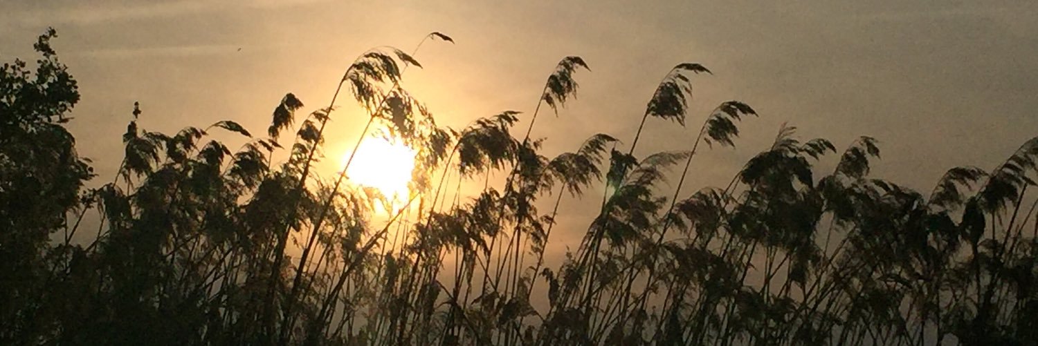 rox2584's profile banner image