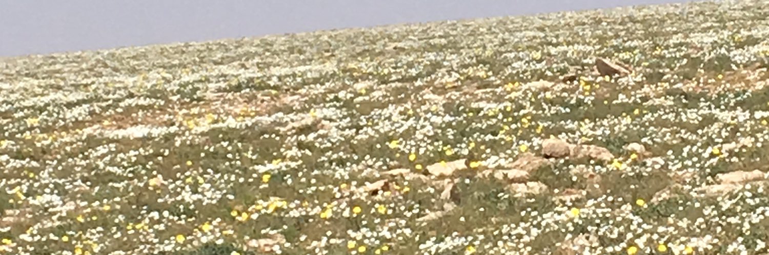 الهقاوي بعيده banner
