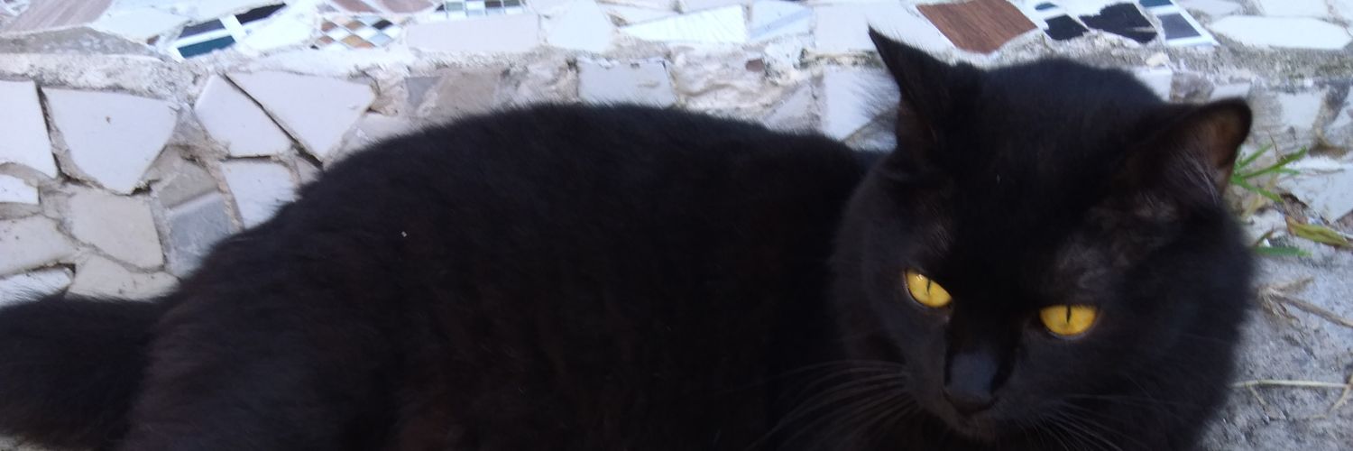 gregbocadohell's profile banner image