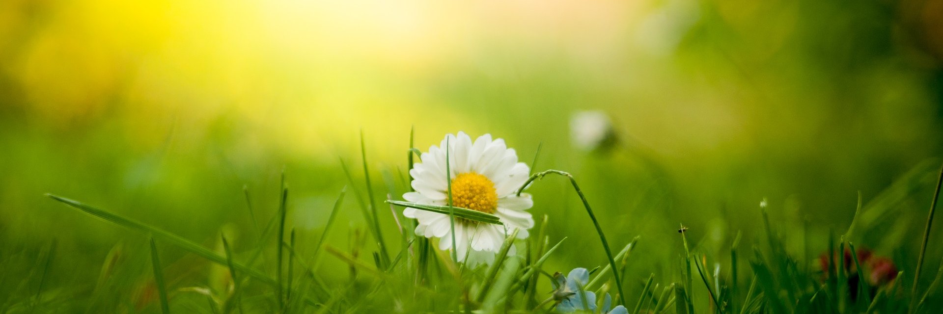 atif_devs's profile banner image