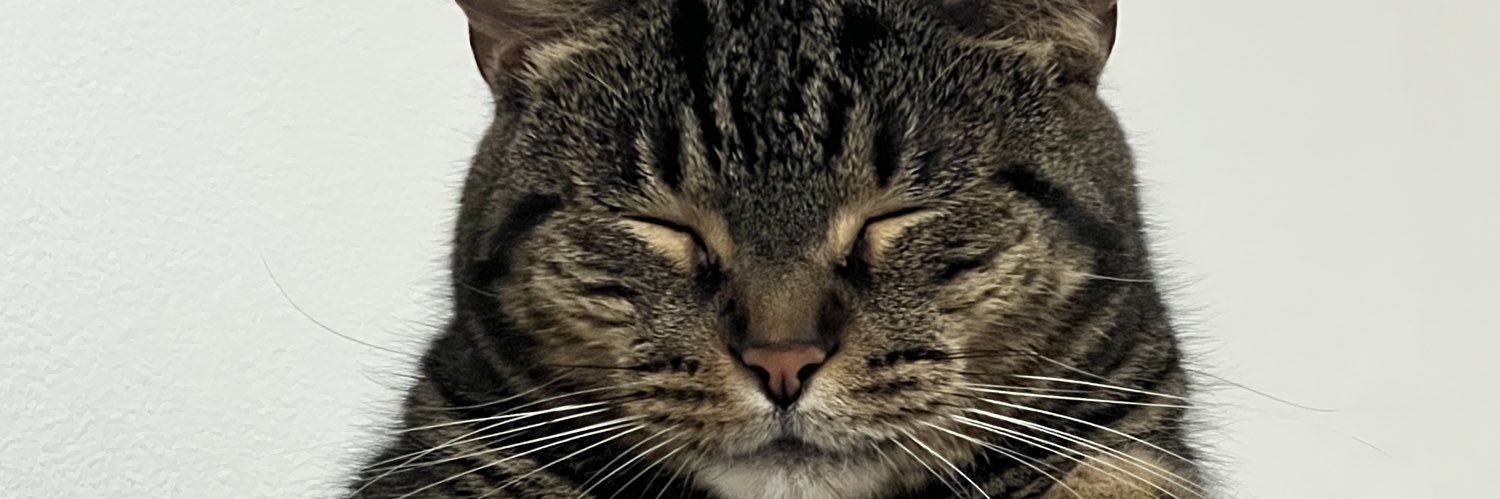 InksWRLD's profile banner image