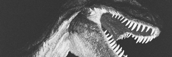 a_stolyar Profile Banner