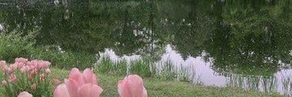 exultramany Profile Banner