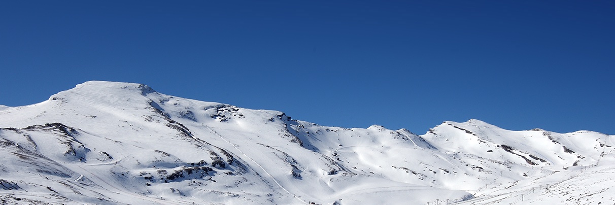 LiOSeR's profile banner image