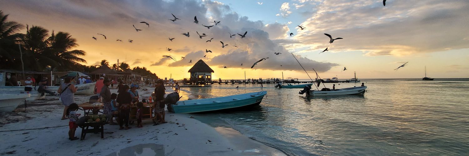 Climate Action Bronson banner